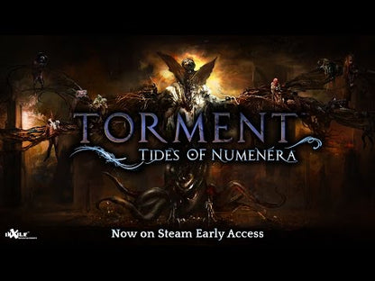 Torment: Tides of Numenera GOG CD Key - Video 1