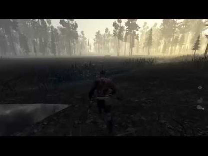 The Stomping Land Steam Gift - Video 1