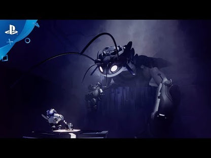 Dreams PS4/PS5 Online Account Activation - Video 1