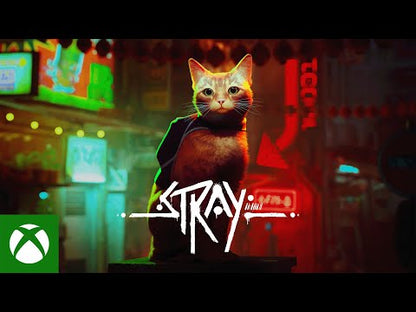 Stray XBOX One / Xbox Series X|S / PC Account - Video 1