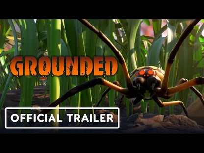 Grounded PS4/PS5 Account - Video 1