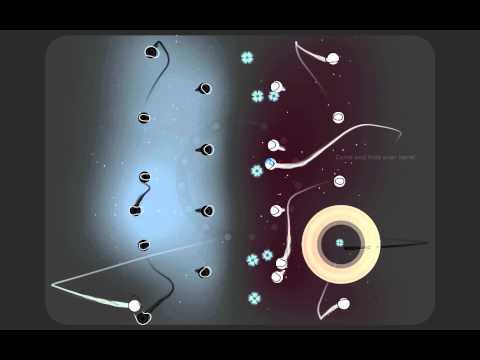 Particulars Steam CD Key - Video 1