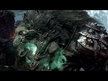 Divinity: Original Sin 1 + 2 Bundle GOG CD Key - Video 1