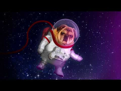 The Jackbox Party Pack 5 XBOX One / Xbox Series X|S Account - Video 1