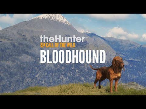 theHunter: Call of the Wild - Bloodhound DLC EU XBOX One / Xbox Series X|S CD Key - Video 1