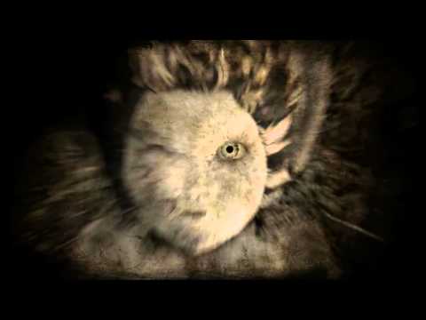Huntsman: The Orphanage (Halloween Edition) Steam CD Key - Video 1