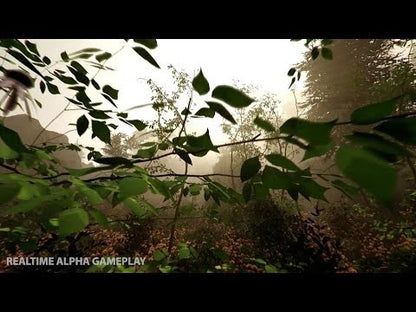 The Forest Steam Gift - Video 1