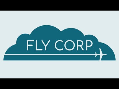 Fly Corp EU PS5 CD Key - Video 1