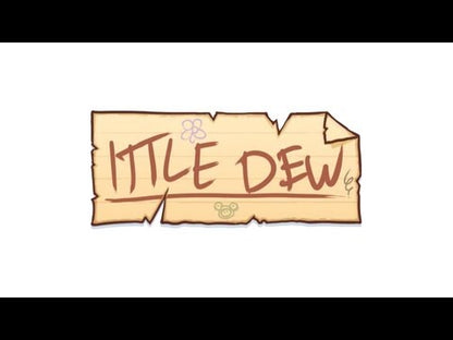 Ittle Dew Steam CD Key - Video 1