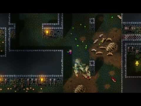 Hammerwatch Steam CD Key - Video 1