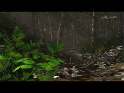 Miasmata Steam CD Key - Video 1