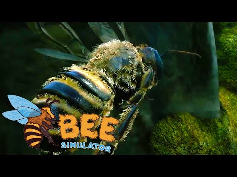 Bee Simulator PS4 Account - Video 1