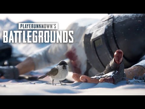PUBG - Pre-order Bonus DLC EU PS4 / PS5 CD Key - Video 1