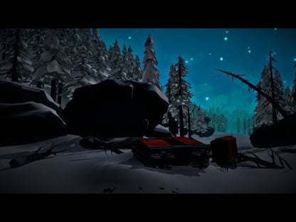The Long Dark PC Steam Gift - Video 1