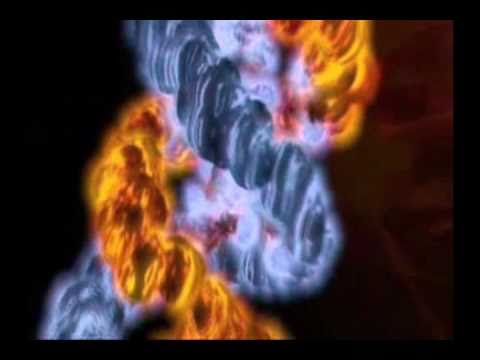 Gorky 17 PC Steam CD Key - Video 1
