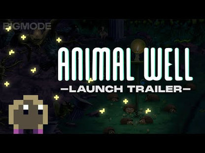 ANIMAL WELL PS5 Account - Video 1
