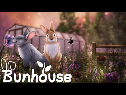 Bunhouse XBOX One / Xbox Series X|S Account - Video 1