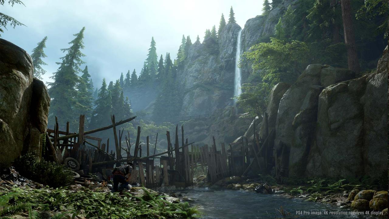 Days Gone PS4/PS5 Online Account Activation
