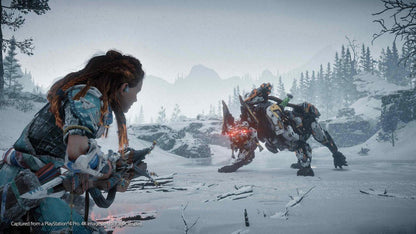 Horizon Zero Dawn - The Frozen Wilds DLC EU PS5 Key