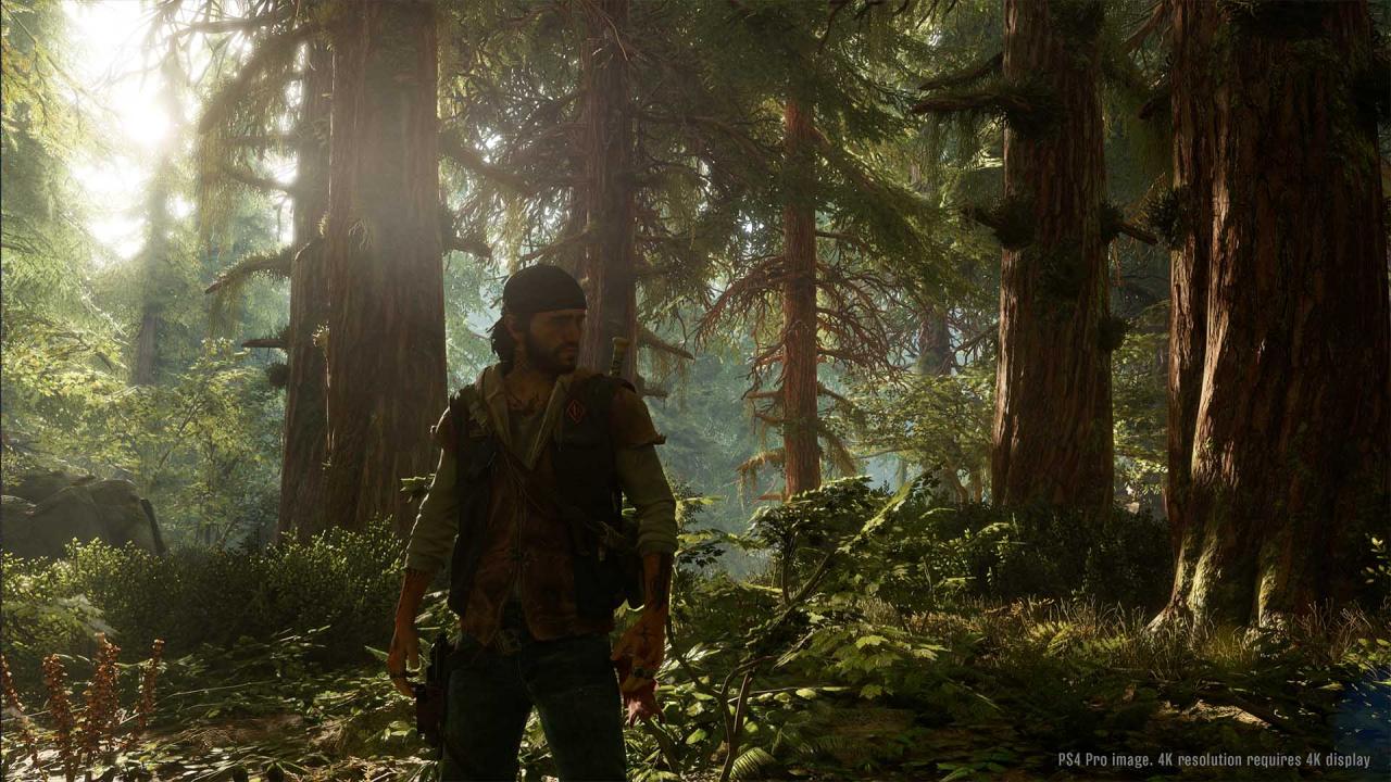 Days Gone PS4/PS5 Online Account Activation