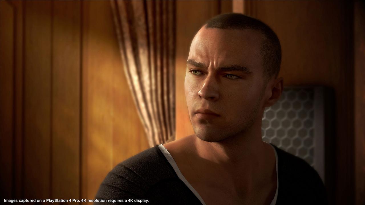 Detroit: Become Human Digital Deluxe Edition PS4 / PS5 Account