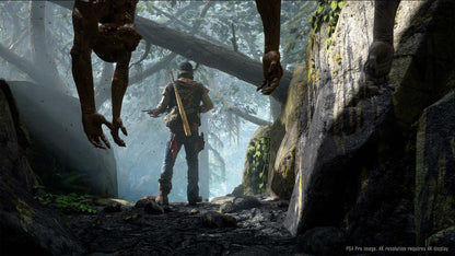 Days Gone PS4/PS5 Online Account Activation