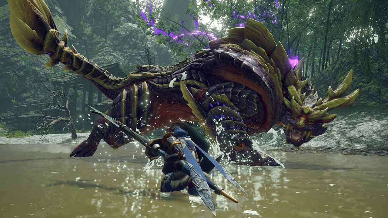 MONSTER HUNTER RISE Nintendo Switch Online Account Activation