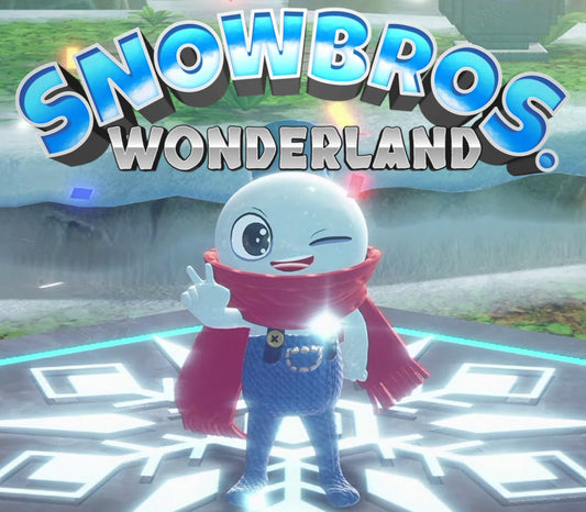 Snow Bros. Wonderland EU PS5 CD Key