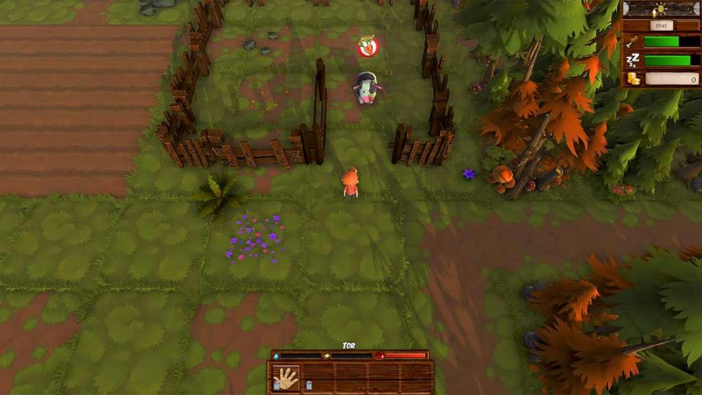 Harvest Life EU Nintendo Switch CD Key