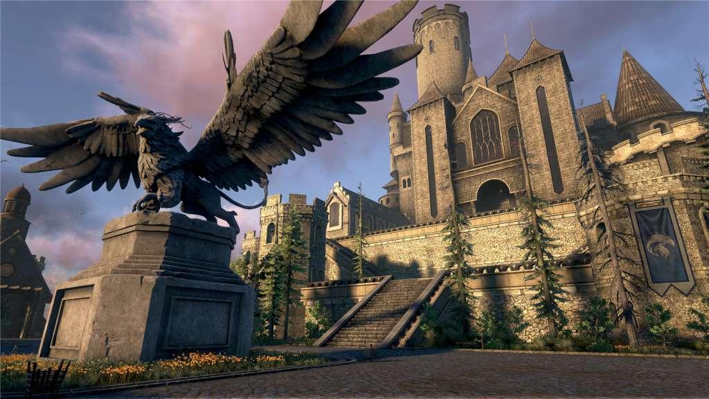 Dark and Light EU Steam Altergift