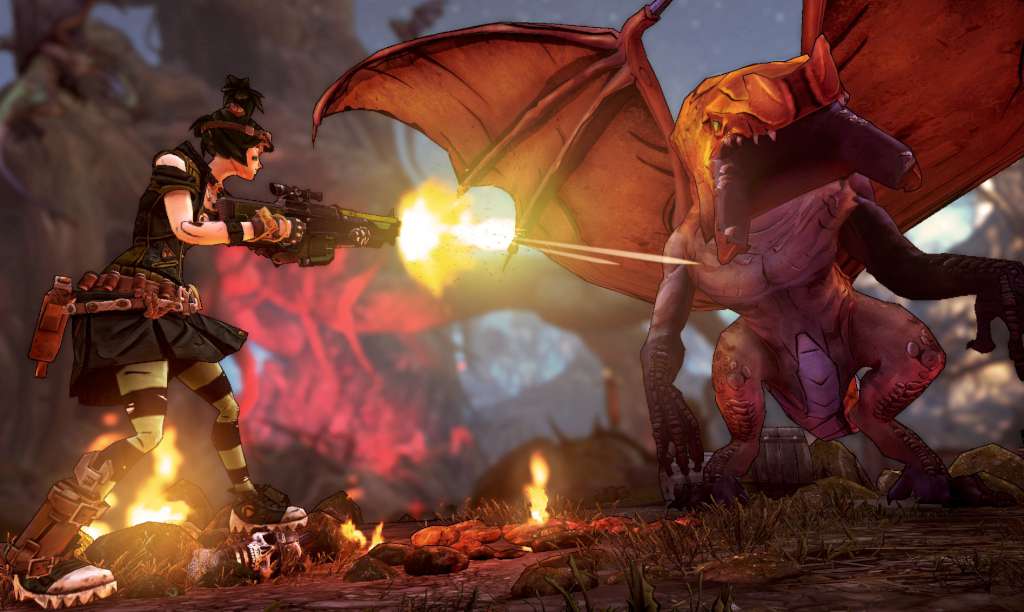 Borderlands 2 - Tiny Tina's Assault on Dragon Keep DLC PC Steam CD Key