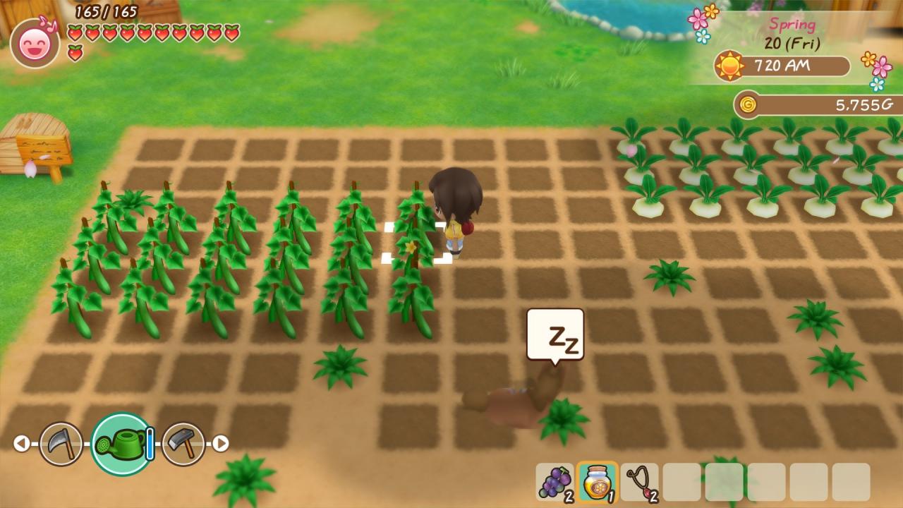 STORY OF SEASONS: Friends of Mineral Town Nintendo Switch Online Account Activation