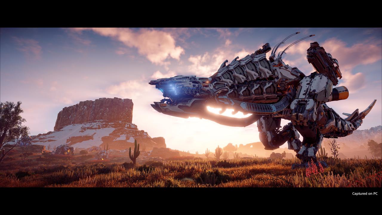Horizon Zero Dawn Complete Edition PS4/PS5 Account