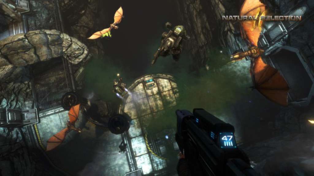 Natural Selection 2 PC Steam CD Key 