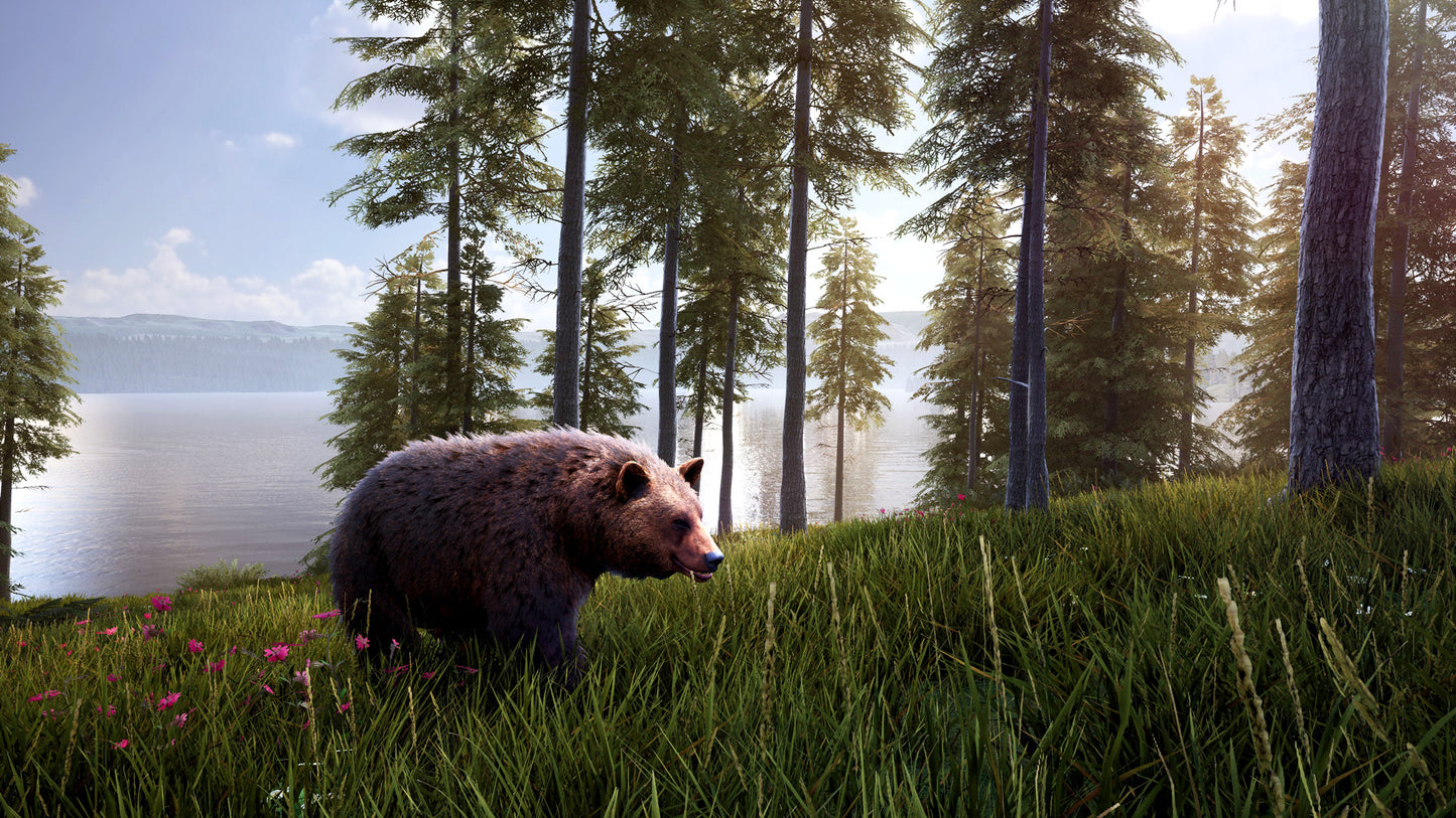 Hunting Simulator 2 Elite Edition PlayStation 5 Account