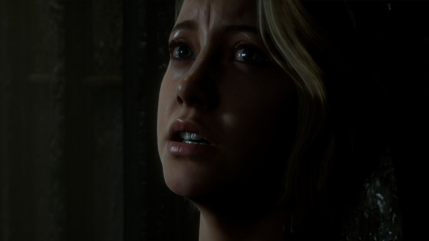 The Dark Pictures Anthology: Man of Medan XBOX One CD Key