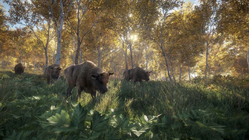 theHunter: Call of the Wild PS4 Account