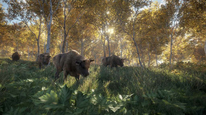 theHunter: Call of the Wild PS4 Account