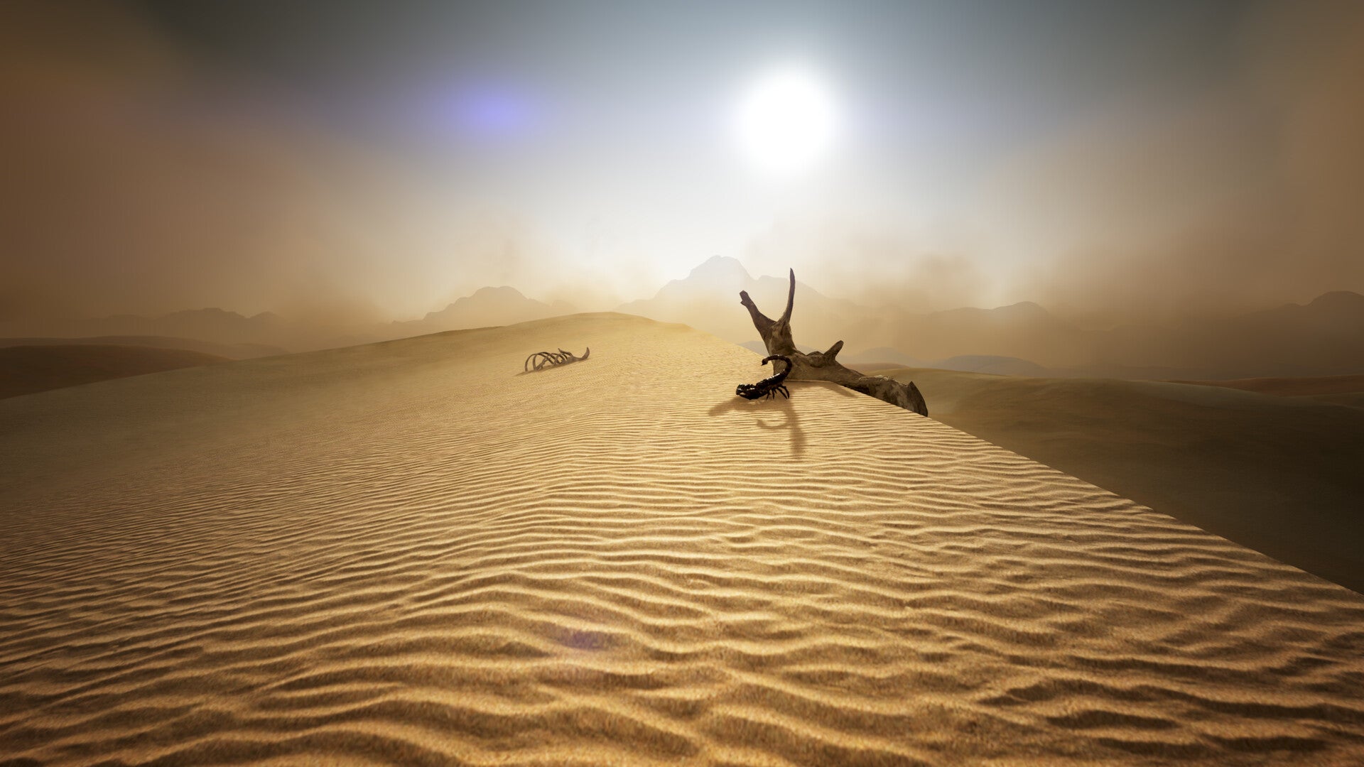Black Desert Online Traveler Edition EU/NA Digital Download CD Key
