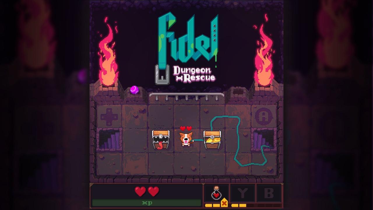 Fidel Dungeon Rescue PC Steam CD Key