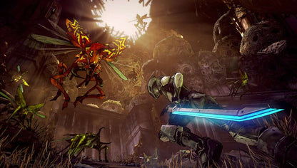 Borderlands 2 + Borderlands GOTY Steam Gift