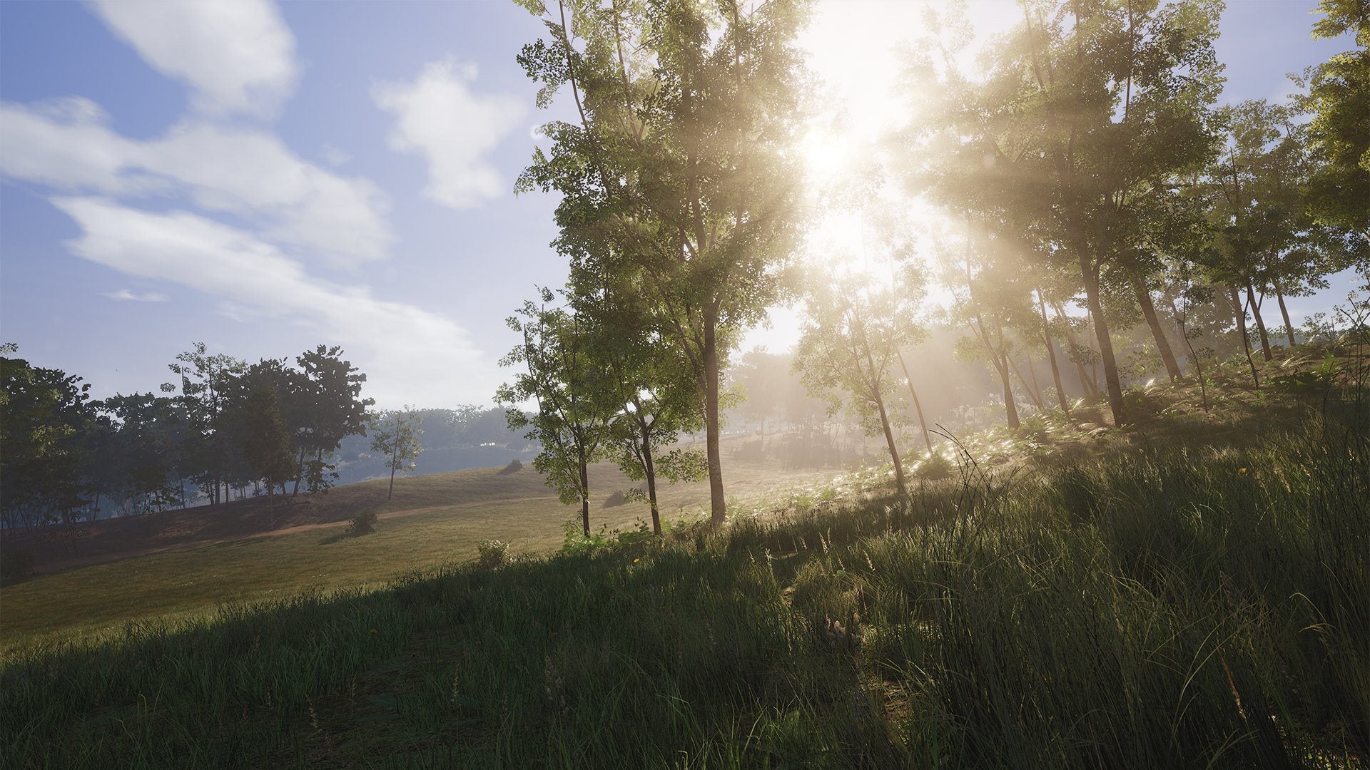 SCUM PC Steam CD Key