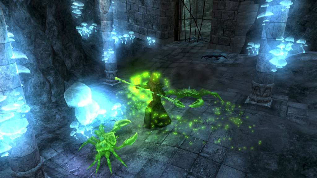 Avencast: Rise of the Mage PC Steam CD Key