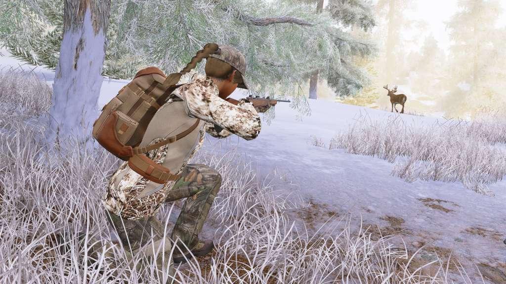 Hunting Simulator Steam CD Key 
