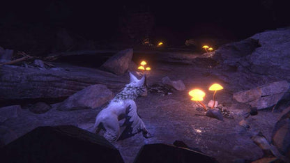 Embers of Mirrim US XBOX One CD Key
