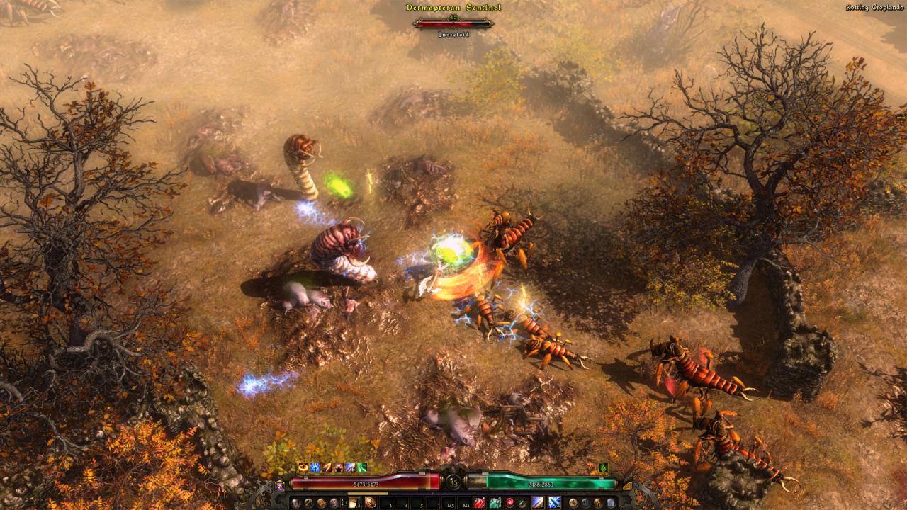 Grim Dawn Definitive Edition GOG CD Key