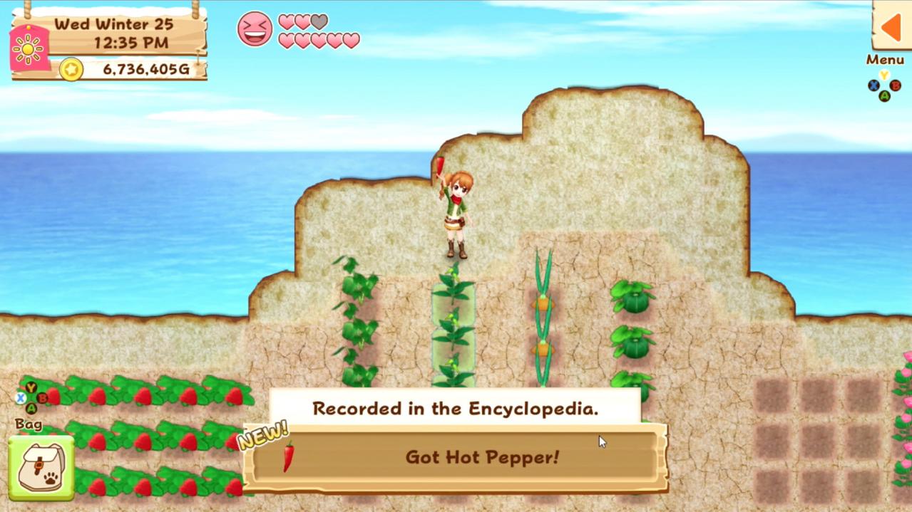 Harvest Moon: Light of Hope Special Edition Nintendo Switch Online Account Activation