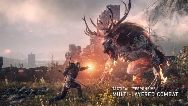The Witcher Trilogy Pack Steam Gift