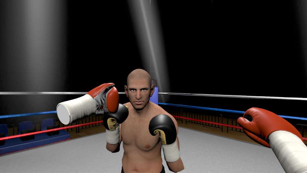 The Thrill of the Fight - VR Boxing Meta Quest Gift