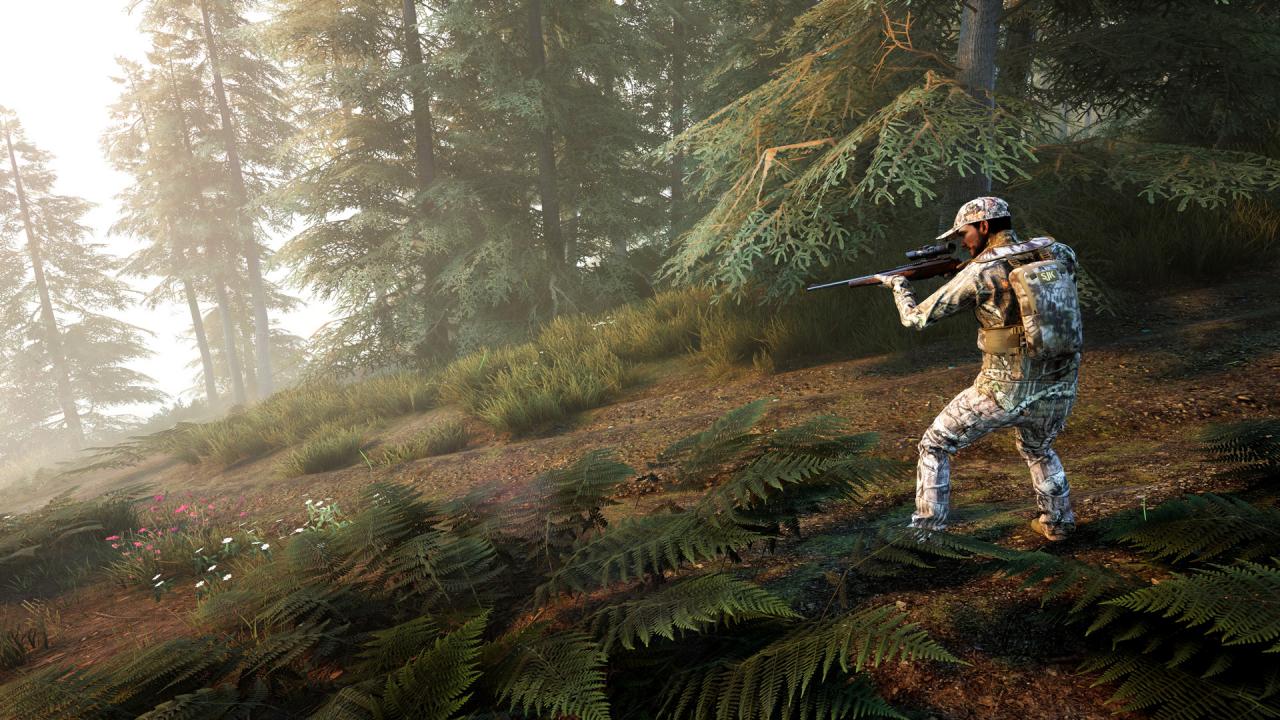 Hunting Simulator 2 Bear Hunter Edition PS4 Account